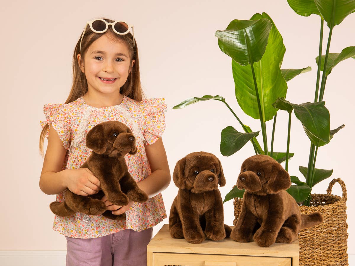 Teddy Hermann Labrador – Dunkelbraun